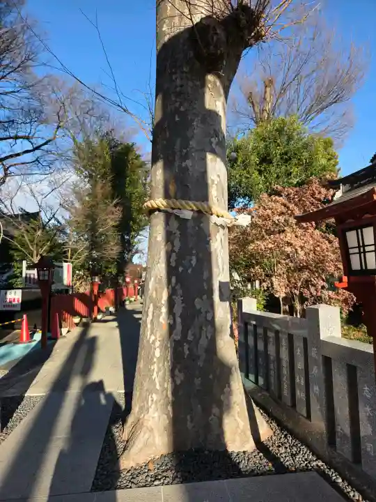 川越八幡宮の{uncategorized: "未分類", other: "その他", undefined: "問題あり", building: "その他建物", grave: "お墓", sacred_gate: "鳥居", guardian: "狛犬", statue: "像", buddha: "仏像", history: "歴史", nature: "自然", garden: "庭園", animal: "動物", pagoda: "塔", temizu: "手水舎", mountain_gate: "山門・神門", sanctuary: "本殿・本堂", subordinate: "末社・摂社", art: "芸術", scenery: "景色", jizo: "地蔵", ema: "絵馬", goshuin: "御朱印", omikuji: "おみくじ", items: "授与品その他", amulet: "お守り", goshuincho: "御朱印帳", eats: "食事", festival: "お祭り", votive_dance: "神楽", shichigosan: "七五三参", wedding: "結婚式", experience: "体験その他", initially: "初詣", around: "周辺", anti_infection: "感染症対策"}