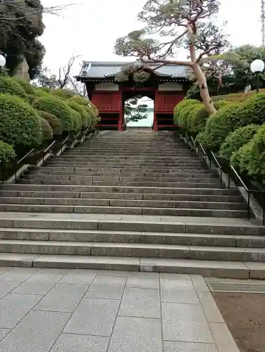 護国寺の{uncategorized: "未分類", other: "その他", undefined: "問題あり", building: "その他建物", grave: "お墓", sacred_gate: "鳥居", guardian: "狛犬", statue: "像", buddha: "仏像", history: "歴史", nature: "自然", garden: "庭園", animal: "動物", pagoda: "塔", temizu: "手水舎", mountain_gate: "山門・神門", sanctuary: "本殿・本堂", subordinate: "末社・摂社", art: "芸術", scenery: "景色", jizo: "地蔵", ema: "絵馬", goshuin: "御朱印", omikuji: "おみくじ", items: "授与品その他", amulet: "お守り", goshuincho: "御朱印帳", eats: "食事", festival: "お祭り", votive_dance: "神楽", shichigosan: "七五三参", wedding: "結婚式", experience: "体験その他", initially: "初詣", around: "周辺", anti_infection: "感染症対策"}