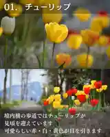 宝光寺(北海道)