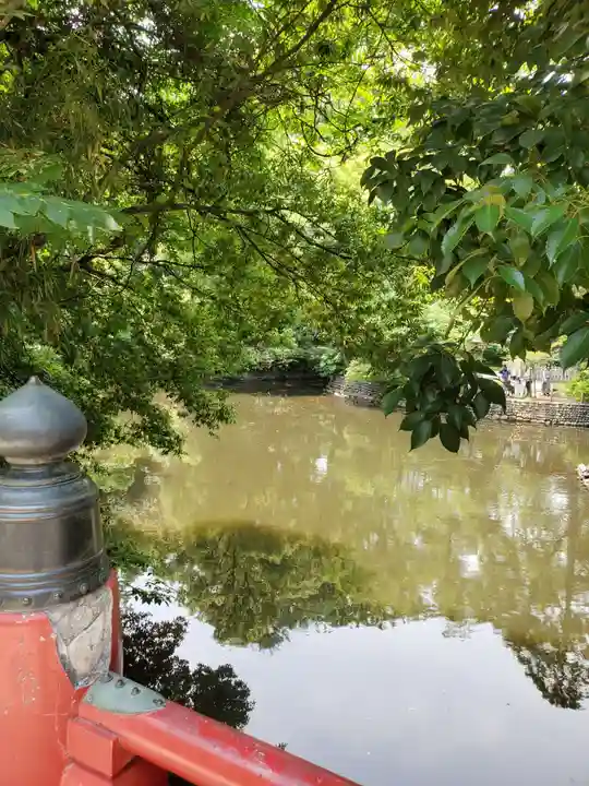 武蔵一宮氷川神社(埼玉県)
