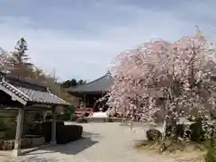 櫟野寺(滋賀県)