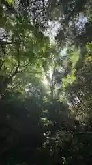 吉高菊一稲荷神社(東京都)