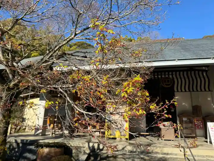 伊勢の国 四天王寺(三重県)