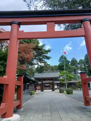 諏訪神社の{uncategorized: "未分類", other: "その他", undefined: "問題あり", building: "その他建物", grave: "お墓", sacred_gate: "鳥居", guardian: "狛犬", statue: "像", buddha: "仏像", history: "歴史", nature: "自然", garden: "庭園", animal: "動物", pagoda: "塔", temizu: "手水舎", mountain_gate: "山門・神門", sanctuary: "本殿・本堂", subordinate: "末社・摂社", art: "芸術", scenery: "景色", jizo: "地蔵", ema: "絵馬", goshuin: "御朱印", omikuji: "おみくじ", items: "授与品その他", amulet: "お守り", goshuincho: "御朱印帳", eats: "食事", festival: "お祭り", votive_dance: "神楽", shichigosan: "七五三参", wedding: "結婚式", experience: "体験その他", initially: "初詣", around: "周辺", anti_infection: "感染症対策"}