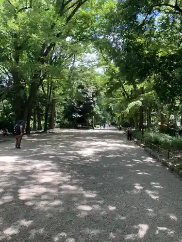 賀茂御祖神社（下鴨神社）の自然