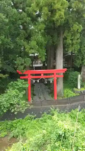 須山浅間神社の鳥居