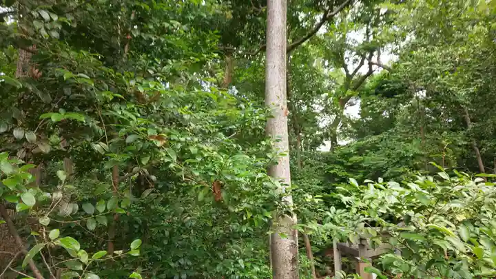 木嶋坐天照御魂神社(京都府)