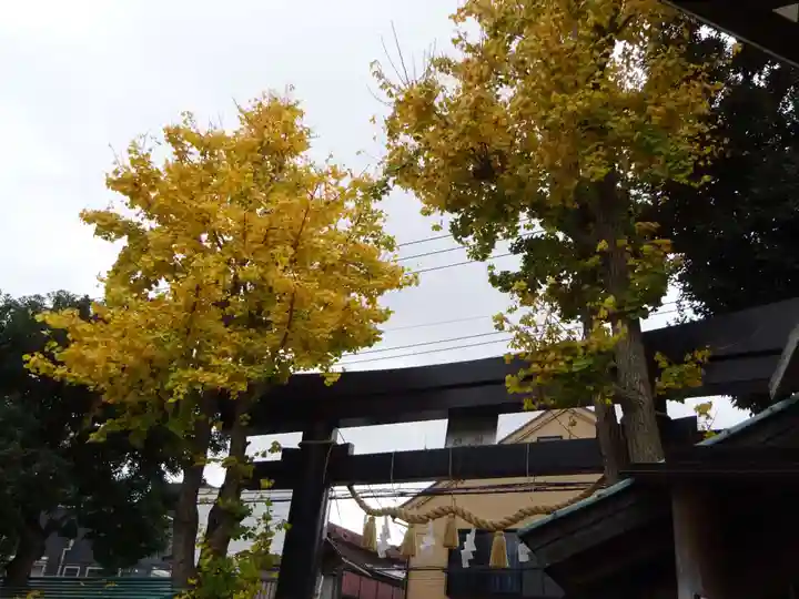 菊名神社の自然