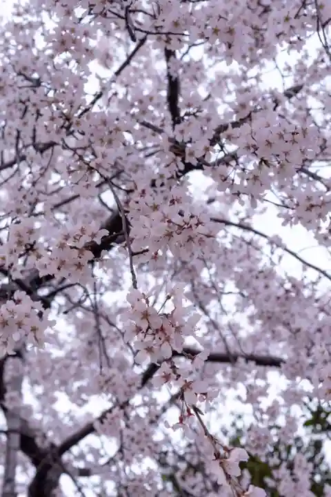 車折神社(京都府)