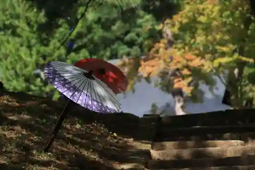 土津神社｜こどもと出世の神さまの庭園