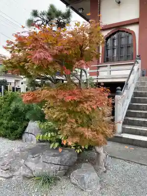 上国寺(神奈川県)