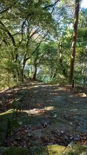長谷山口坐神社(奈良県)