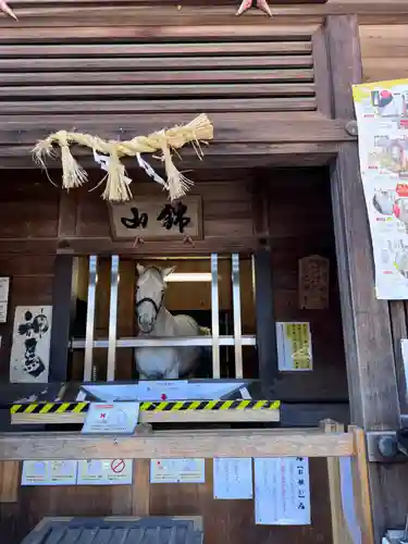 多度大社(三重県)