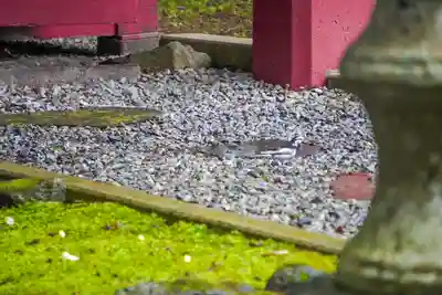 尻岸内八幡神社(北海道)
