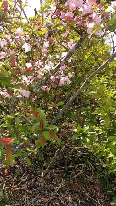 比佐豆知神社(三重県)