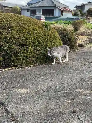 一心寺・一心禅寺(愛知県)