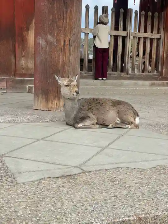 東大寺戒壇院戒壇堂(奈良県)