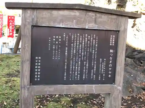 秩父今宮神社の歴史