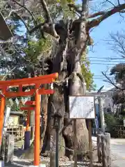 新田神社(東京都)