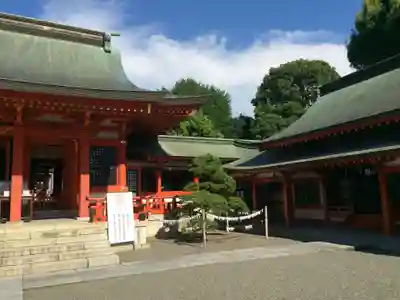 藤崎八旛宮(熊本県)