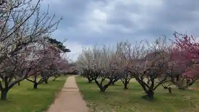 綱敷天満神社(愛媛県)
