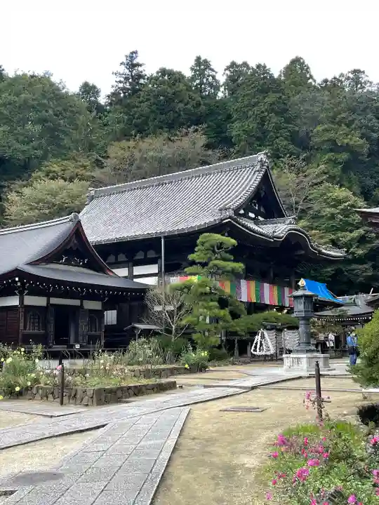 岡寺(龍蓋寺)(奈良県)