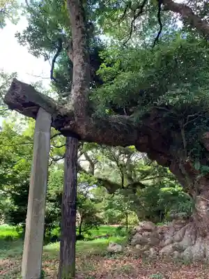 宇賀神社(千葉県)