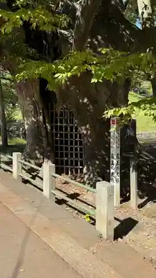 金峯神社(新潟県)