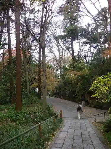 妙本寺の庭園