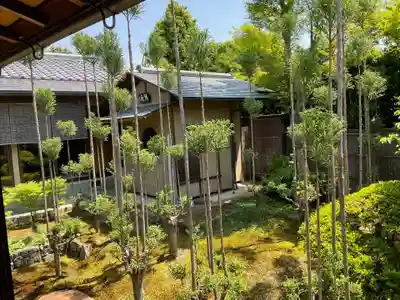 大雲寺(京都府)