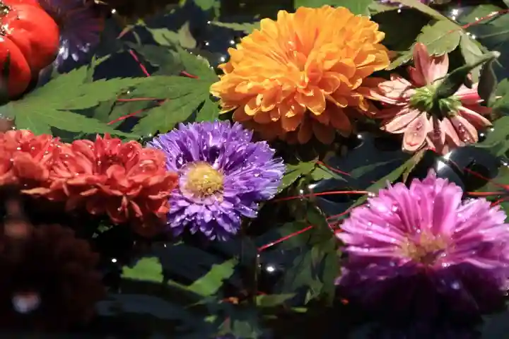 豊景神社の手水舎