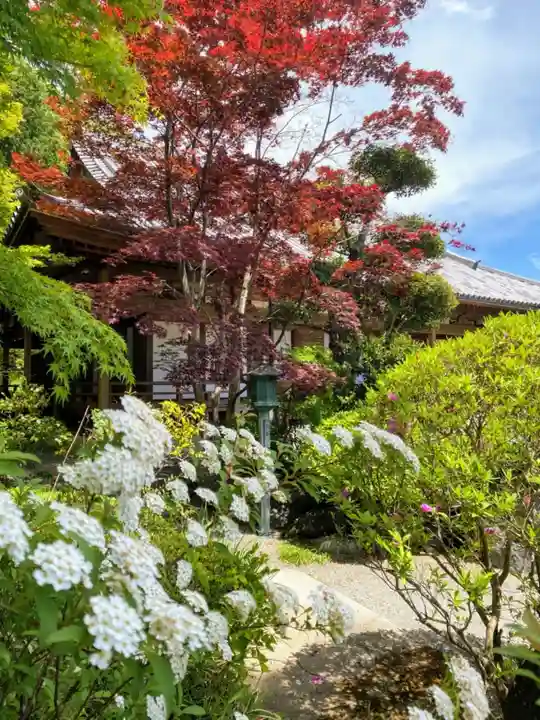 崇禅寺のその他建物