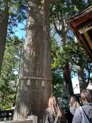 三峯神社(埼玉県)