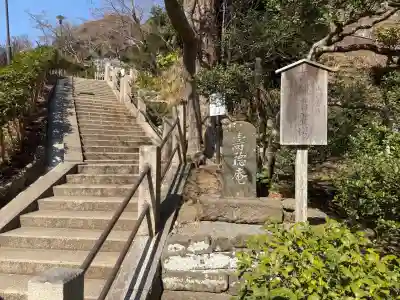 寿徳庵の{uncategorized: "未分類", other: "その他", undefined: "問題あり", building: "その他建物", grave: "お墓", sacred_gate: "鳥居", guardian: "狛犬", statue: "像", buddha: "仏像", history: "歴史", nature: "自然", garden: "庭園", animal: "動物", pagoda: "塔", temizu: "手水舎", mountain_gate: "山門・神門", sanctuary: "本殿・本堂", subordinate: "末社・摂社", art: "芸術", scenery: "景色", jizo: "地蔵", ema: "絵馬", goshuin: "御朱印", omikuji: "おみくじ", items: "授与品その他", amulet: "お守り", goshuincho: "御朱印帳", eats: "食事", festival: "お祭り", votive_dance: "神楽", shichigosan: "七五三参", wedding: "結婚式", experience: "体験その他", initially: "初詣", around: "周辺", anti_infection: "感染症対策"}