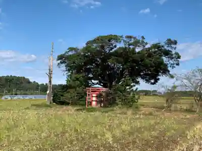 稲荷神社の周辺