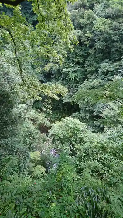 天岩戸神社の景色