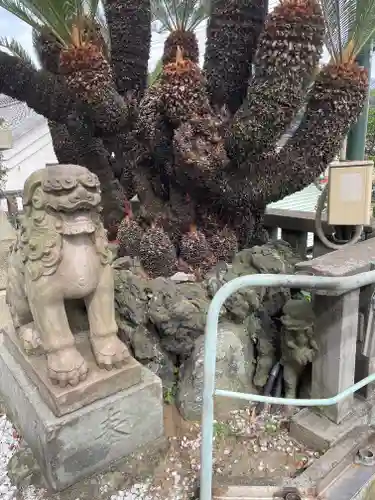 叶神社 (西叶神社)の狛犬