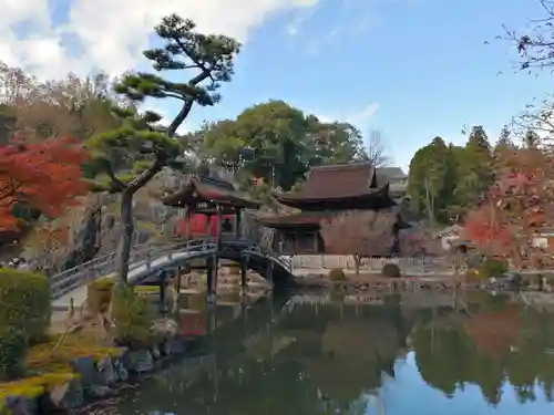 永保寺の庭園