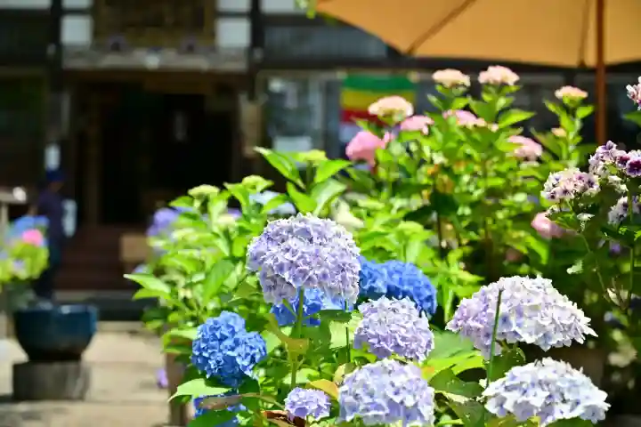 光照寺(新潟県)