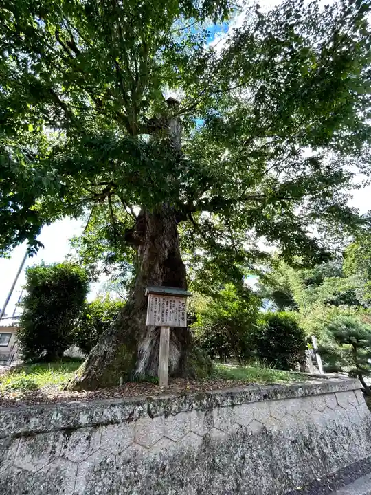 中山神社(岡山県)