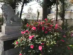 菊田神社の狛犬