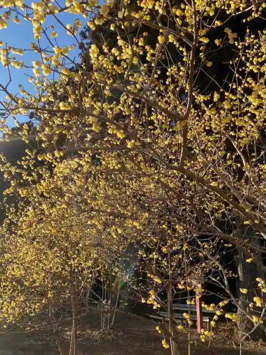 羽黒山神社の{uncategorized: "未分類", other: "その他", undefined: "問題あり", building: "その他建物", grave: "お墓", sacred_gate: "鳥居", guardian: "狛犬", statue: "像", buddha: "仏像", history: "歴史", nature: "自然", garden: "庭園", animal: "動物", pagoda: "塔", temizu: "手水舎", mountain_gate: "山門・神門", sanctuary: "本殿・本堂", subordinate: "末社・摂社", art: "芸術", scenery: "景色", jizo: "地蔵", ema: "絵馬", goshuin: "御朱印", omikuji: "おみくじ", items: "授与品その他", amulet: "お守り", goshuincho: "御朱印帳", eats: "食事", festival: "お祭り", votive_dance: "神楽", shichigosan: "七五三参", wedding: "結婚式", experience: "体験その他", initially: "初詣", around: "周辺", anti_infection: "感染症対策"}