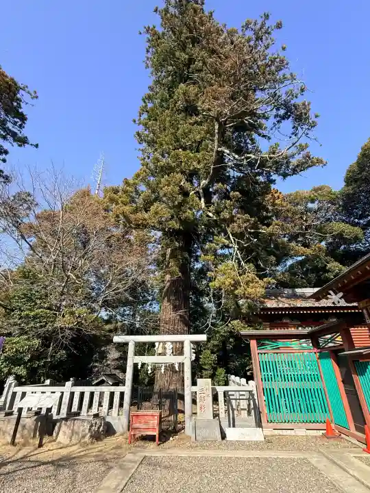 大杉神社の{uncategorized: "未分類", other: "その他", undefined: "問題あり", building: "その他建物", grave: "お墓", sacred_gate: "鳥居", guardian: "狛犬", statue: "像", buddha: "仏像", history: "歴史", nature: "自然", garden: "庭園", animal: "動物", pagoda: "塔", temizu: "手水舎", mountain_gate: "山門・神門", sanctuary: "本殿・本堂", subordinate: "末社・摂社", art: "芸術", scenery: "景色", jizo: "地蔵", ema: "絵馬", goshuin: "御朱印", omikuji: "おみくじ", items: "授与品その他", amulet: "お守り", goshuincho: "御朱印帳", eats: "食事", festival: "お祭り", votive_dance: "神楽", shichigosan: "七五三参", wedding: "結婚式", experience: "体験その他", initially: "初詣", around: "周辺", anti_infection: "感染症対策"}