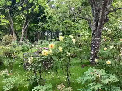 妙雲寺(栃木県)