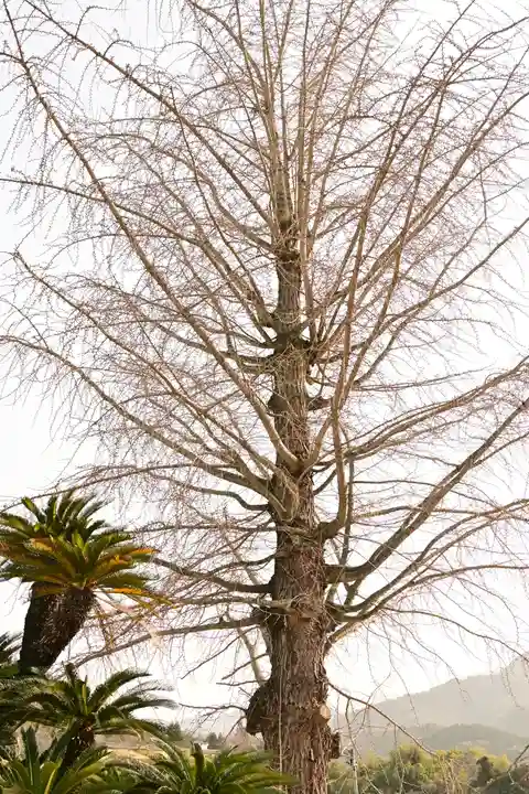 無量寺(愛媛県)
