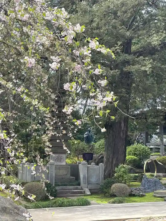 安養院(東京都)
