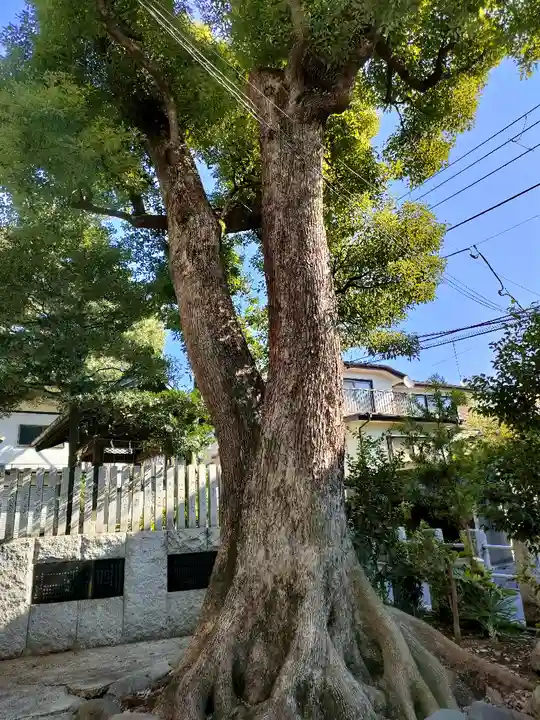 多田神社(東京都)