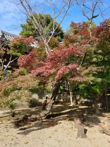 東漸寺(千葉県)