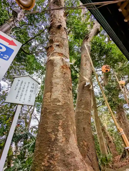 検見川神社の自然