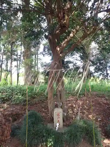 鷲宮神社の末社